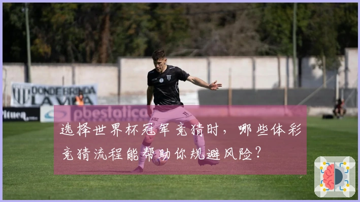 选择世界杯冠军竞猜时，哪些体彩竞猜流程能帮助你规避风险？