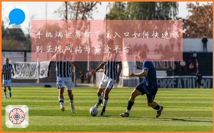 手机端世界杯下注入口如何快速识别正规网站与安全平台